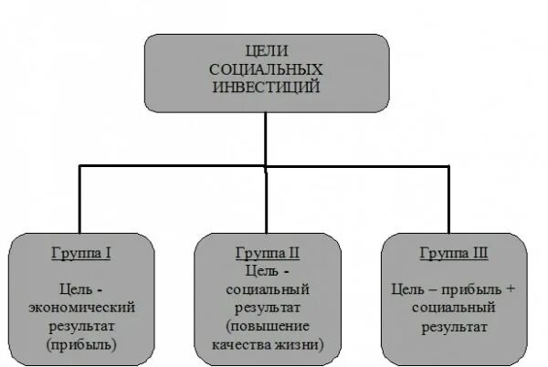 Цель социальных инвестиции