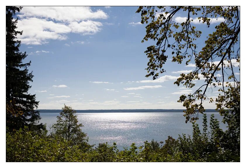 чухломского озера. русиловское озеро костромской области. чухломское озеро. чухлома костромская область озеро. чухломское озеро.