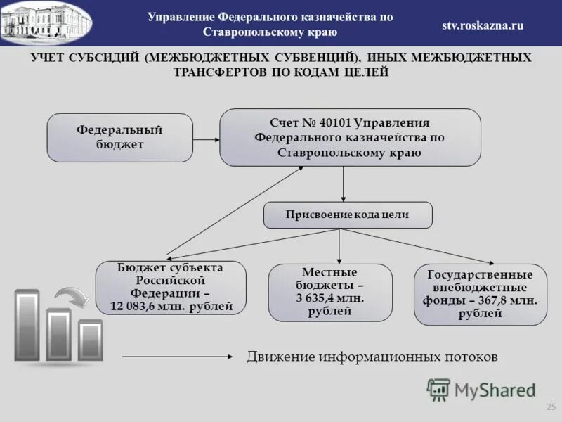 Федеральное казначейство цели