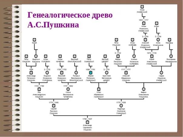 Первые в роду а был ли мальчик. Родословная Пушкина схема. Родословная Пушкина Древо. Как составить родословная семьи схема. Родословная генеалогическая Пушкина схема родословной.