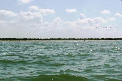 Водные объекты азовского моря