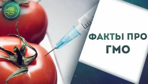 Гмо хорошие качества