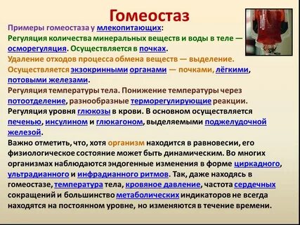 На какой основе осуществляется определение