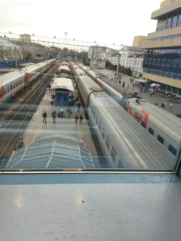 жд ростов петербург