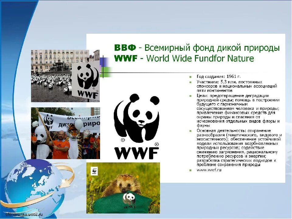 The world wildlife fund is an organization. Всемирный фонд дикой природы WWF. Всемирный фонд дикой природы эмблема. Сообщение про Всемирный фонд защиты дикой природы. Организация охраны природы WWF.