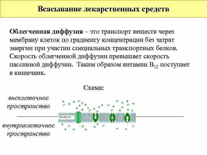 В каких веществах диффузия происходит быстрее. В каких веществах диффузия происходит быстрее