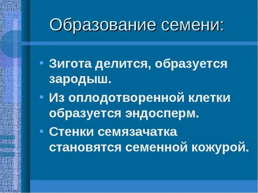 Образование семени зародыш. Образование семени зародыш. Зародыш покрытосеменного растения. Структура семени покрытосеменных растений. Образование плодов и семян.