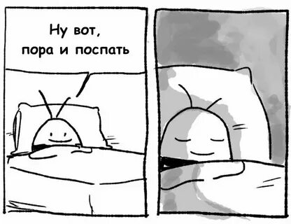 Спал 3 часа и выспался