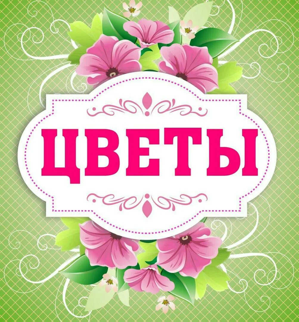 Flower club. Свежие цветы поступление. Свежее поступление цветов. Поступление цветов в магазин. Новое поступление цветов.