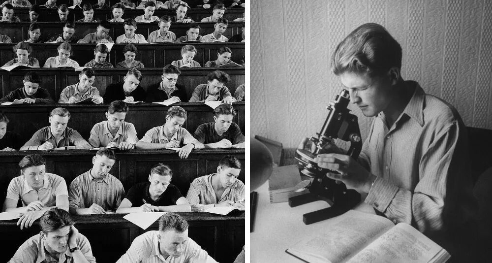 Мы набрали инопланетян доцент журфака. Библиотека журфак мгу. студенты мгу физфак первокурсники гончаренко 1966. зимняя школа журналистики мгу 2025. интервью доцента мгу евгения лопатина.