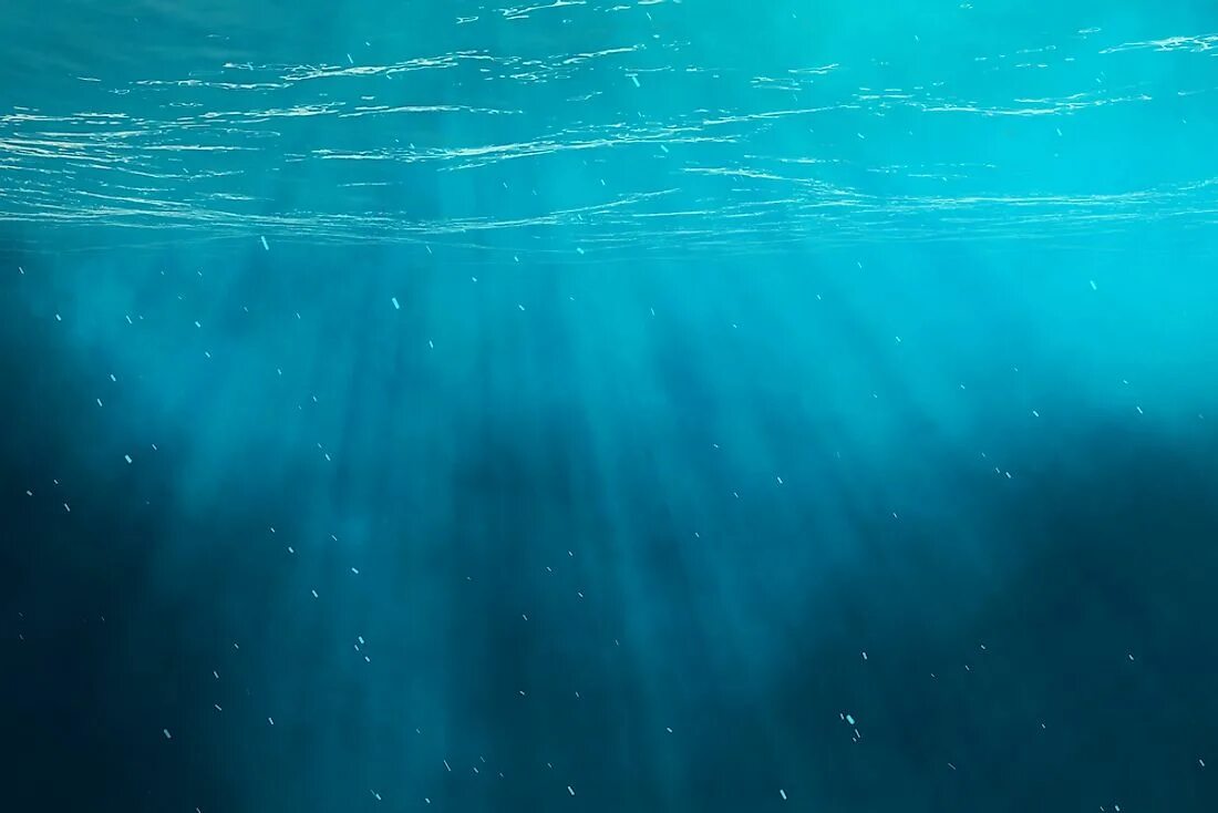 Ocean inside