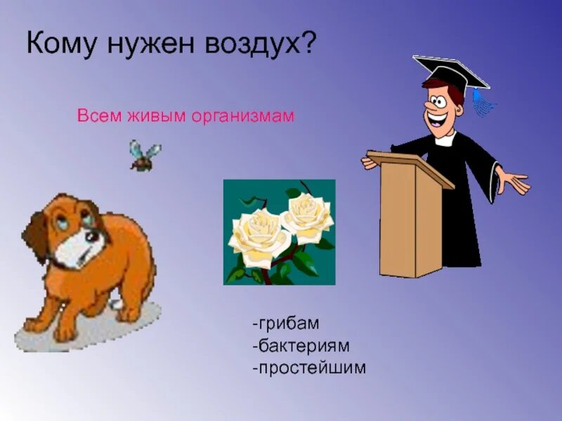 Рыбам нужен воздух. Кому нужен воздух. Картинки кому нужен воздух. Кому нужен воздух картинки для детей. Зачем нужен воздух.