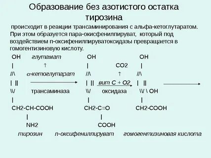 Кетоглутарат