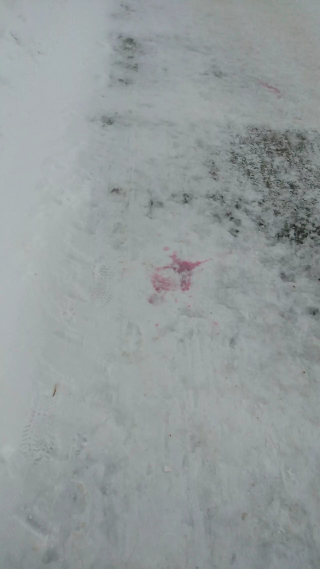 Снежные брызги. Отрава для собак натснегу. Снег пятно. Белая краска на прозрачном фоне. Маска для фотошопа.