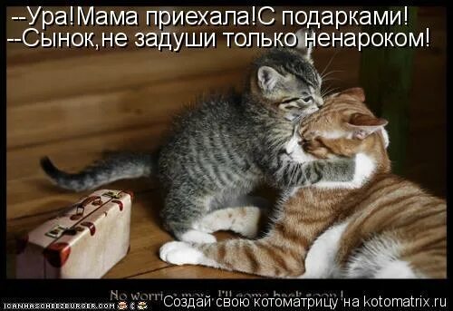 внуки это счастье цитаты. мама приезжай. ура мама приехала. родители приехали. мама приезжай и меня забери.