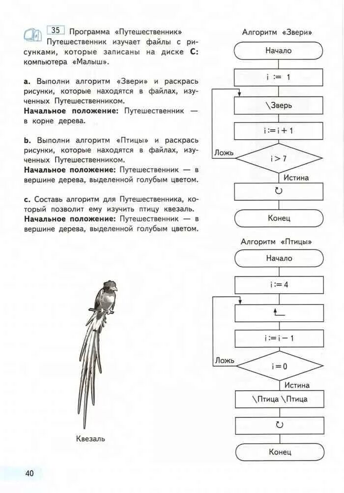 Информатика 4 класс программа. Алгоритм путешественника. путешественник информатика 4 класс. составь алгоритм для путешественника. алгоритм птицы.