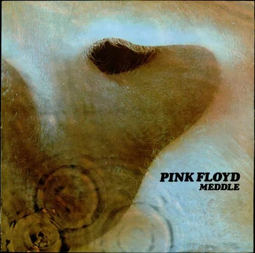 Пинк Флойд meddle 1971. Pink Floyd meddle 1971 обложка альбома. Pink Floyd meddle 1971 Vinyl. Pink Floyd meddle 1971 Vinyl обложка альбома.