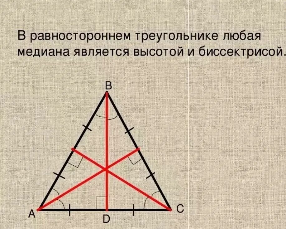 Биссектриса равностороннего треугольника. Медиана равностороннего треугольника. Равносторонний треугольник Медиана биссектриса и высота. Высота в равносторон треугольнике. Свойства биссектрисы равностороннего