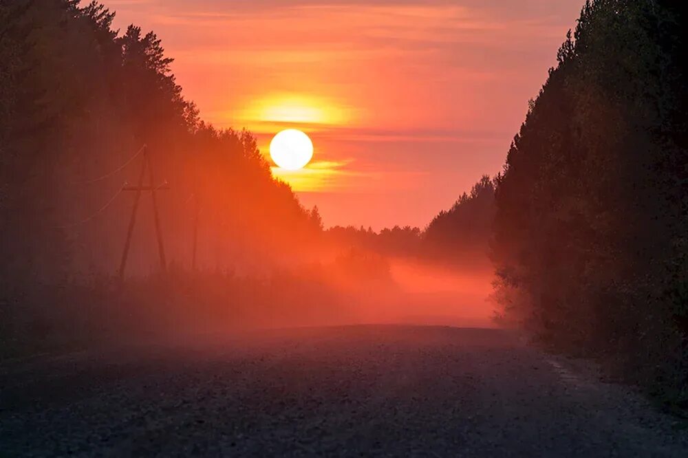 Зимняя поляна ночью. Стойбище осеннего тумана. Поздняя осень ночь. Раннее утро дорога. Утро раннее ночь длиннее.