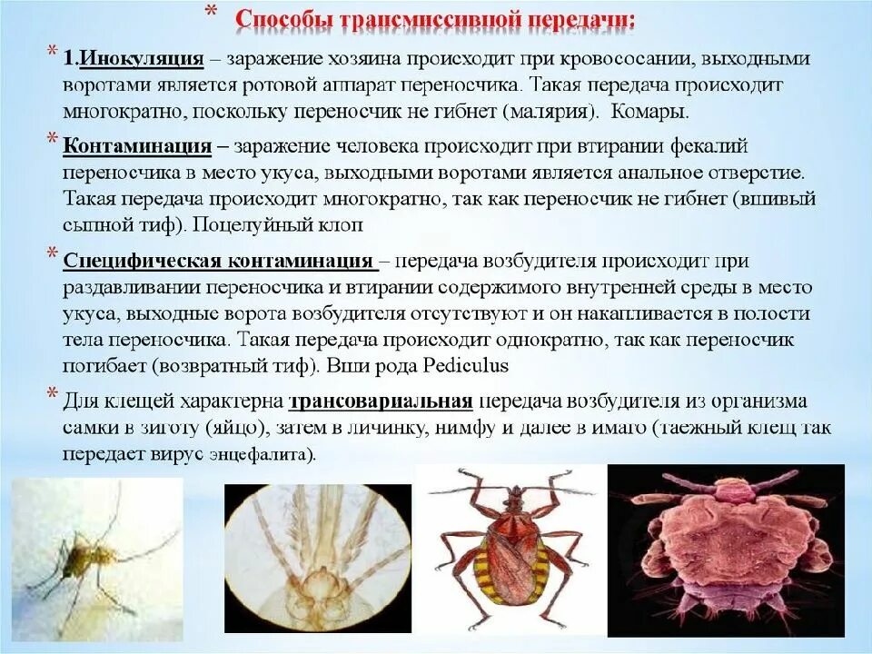 Трансмиссивными инфекционными болезнями являются