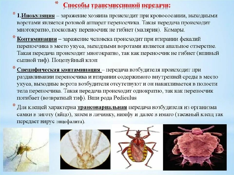 Какие инфекции передаются через укусы кровососущих насекомых. Трансмиссивный способ передачи инфекции. Трансмиссионный путь передачи инфекции заболевания. Трансмиссивные инфекции пути пере. Трансмессивныйпуть передачи.