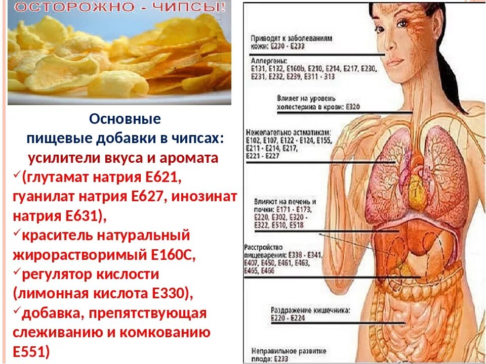 Пищевые добавки в чипсах. Вредные пищевые добавки в чипсах. Чипсы Лейс пищевые добавки. Вредные пищевые добавки вчиспах.