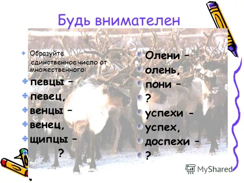 Слова только единственного числа существительного. Щипцы множественное число. Щипцы множественное число. Существительное исключения в английском множественное число. Слова на английском употребляемые только во множественном числе.
