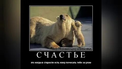 День почесывания за ухом картинки