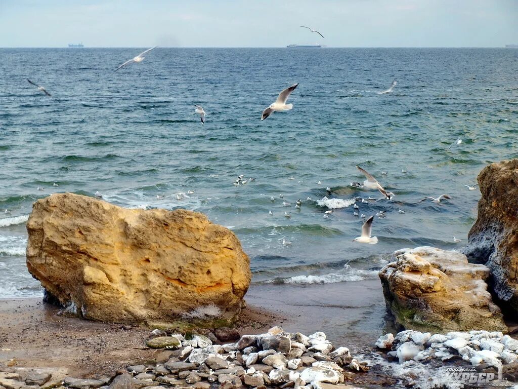 Одесское море. Черное море Одесса. Море гавань Одесса. Побережье Одессы с моря.