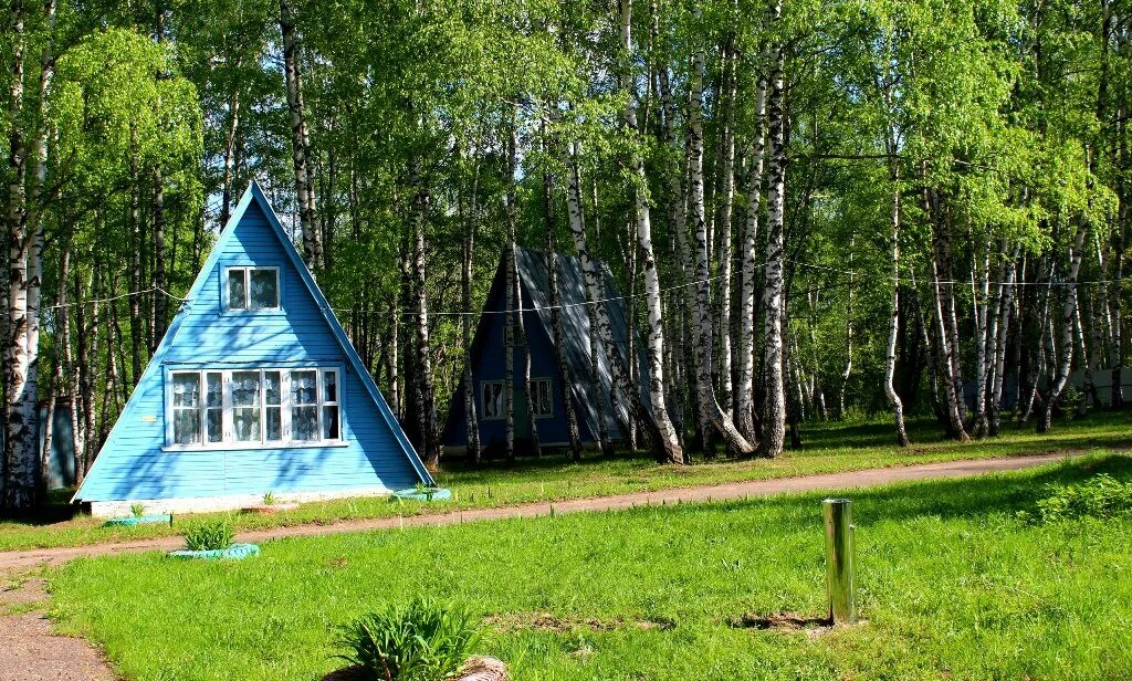 березка сходня. станция березки московская область. скупка химки. берёзовая роща в ростовской области. кп березки рублевское шоссе.