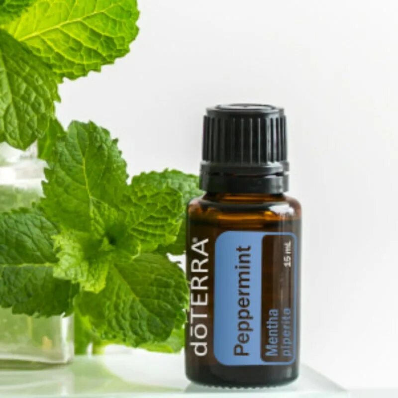 Мята эфирное масло дотерра. Doterra эфирное масло мята перечная. Перечная мята дотерра. Doterra перечная мята touch doterra peppermint touch дотерра. Масло перечной мяты дотерра.