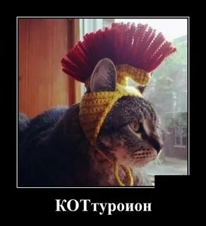 Из колхозной молодежи