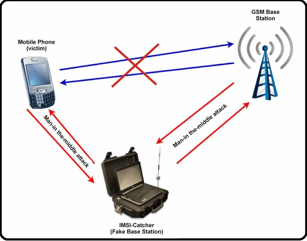 Mobile device information provider