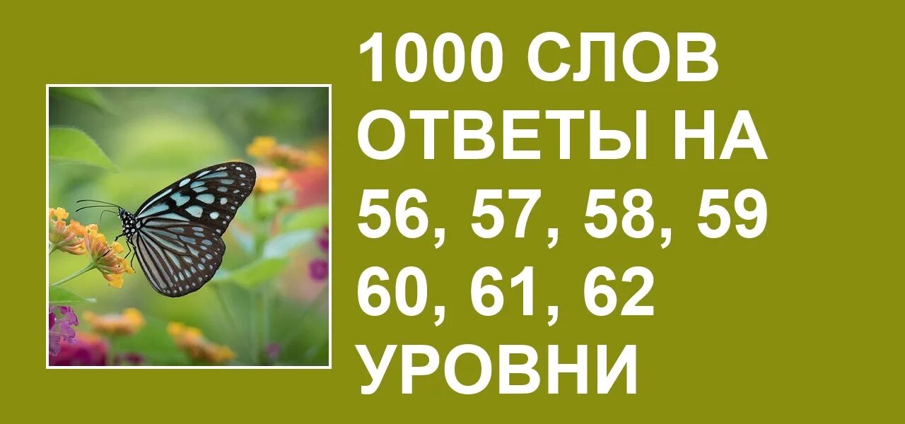 Книга среди тысячи слов. 1000 слов группа. Вместо тысячи слов картинка. 21 тысяча словами. Тысяч как пишется правильно.