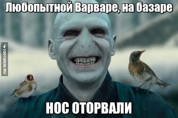 любопытной варваре на базаре нос оторвали. варваре нос оторвали. любопытной варваре нос. любопытной варваре нос. любопытная варвара.