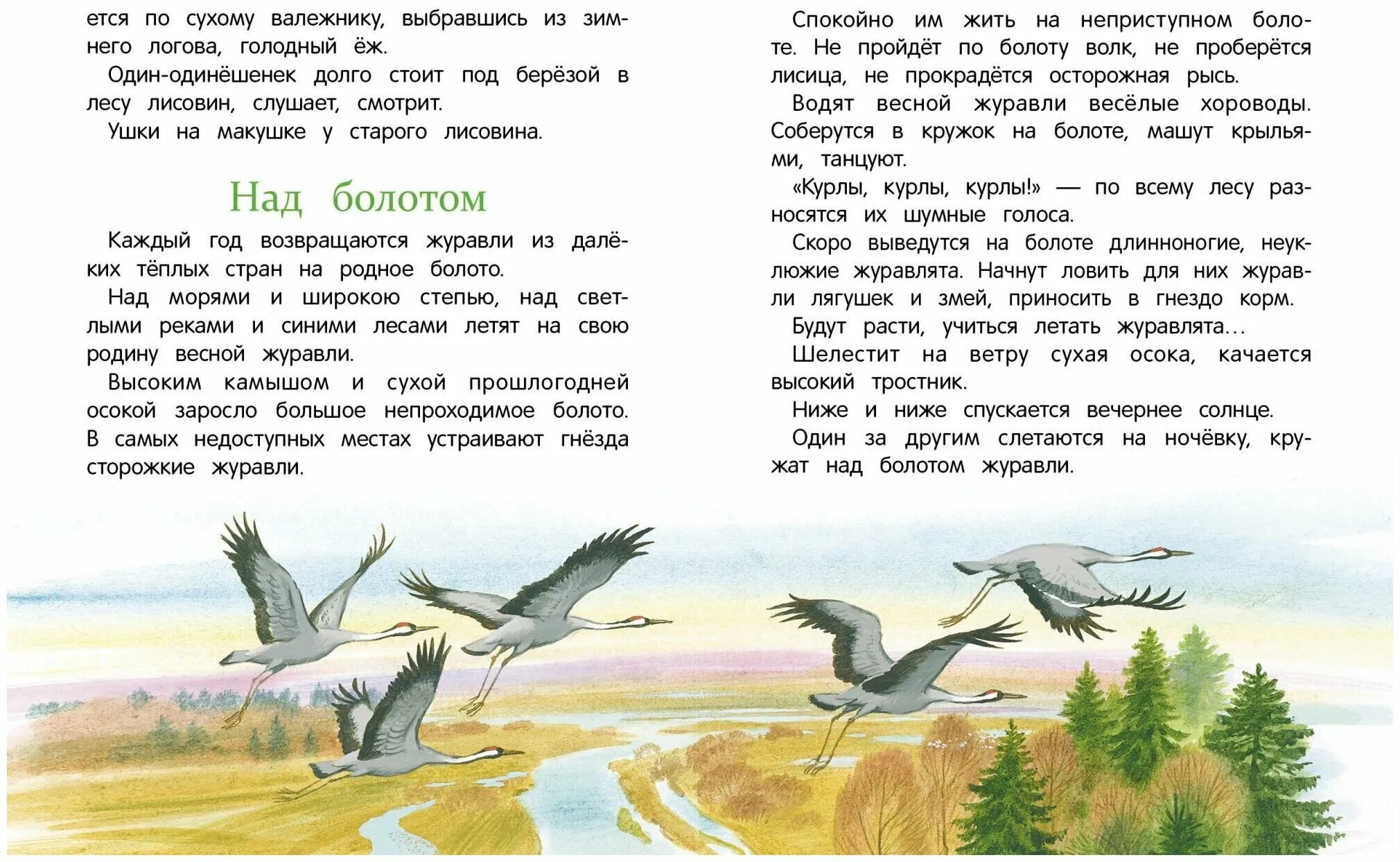 Соколов-Микитов рассказы о природе. Соколов Микитов произведения о природе. Маленький рассказ о природе. Внеклассное чтение рассказы о природе.