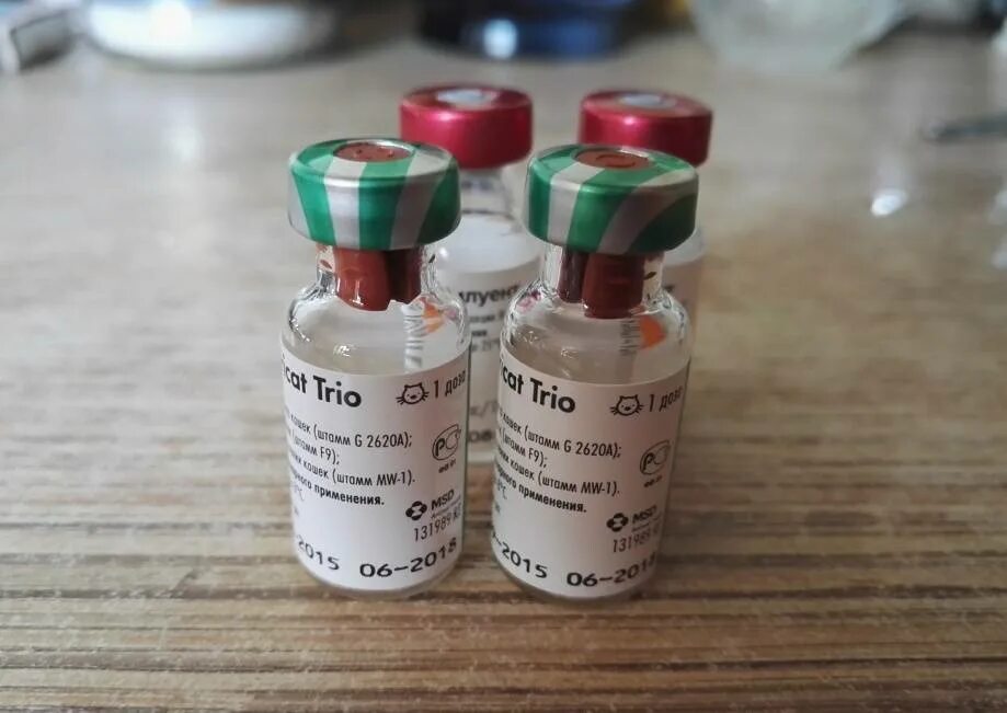 Нобивак трикет Rabies. Nobivac Tricat Trio vaccine. Нобивак Tricat Trio. Вакцина Nobivac Tricat + Rabies. Купить вакцину нобивак для кошек в москве