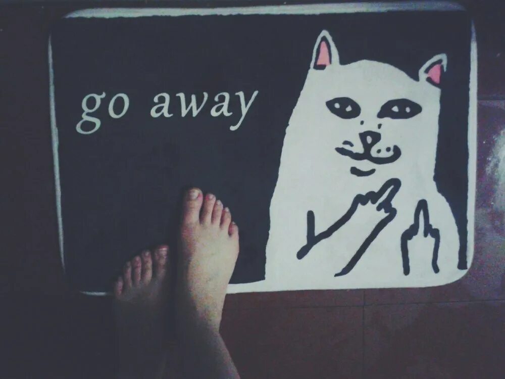 Make go away. Кот с факом. Кот с факом Мем.