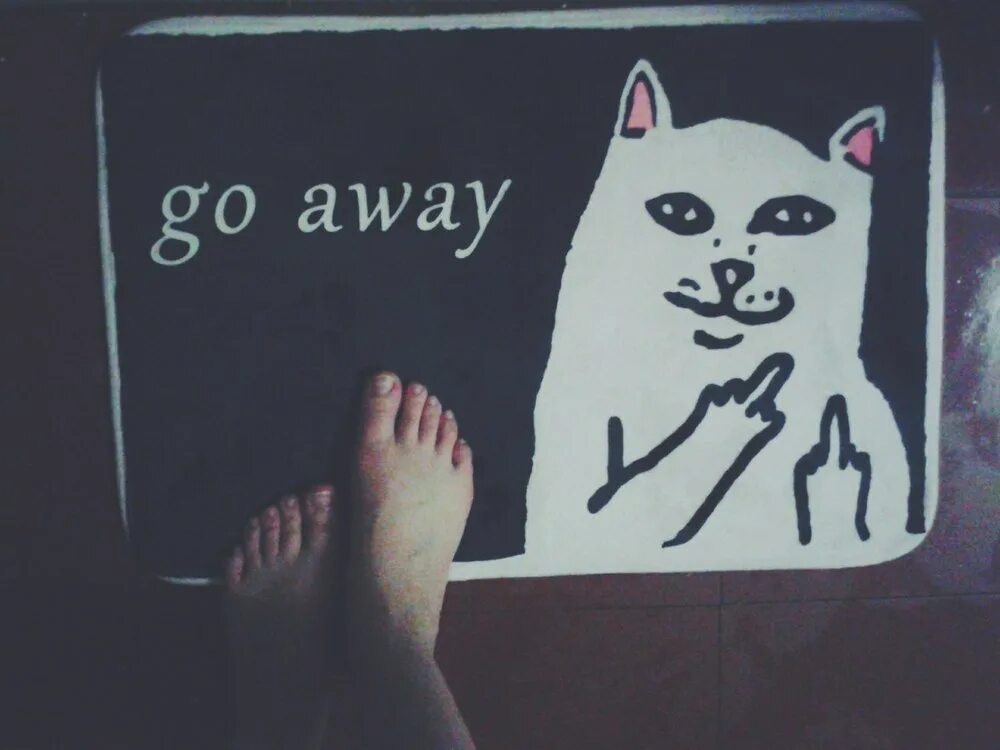 Кот с факом. Кот с факом Мем. Make go away