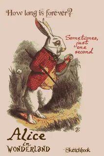 White rabbit отзывы