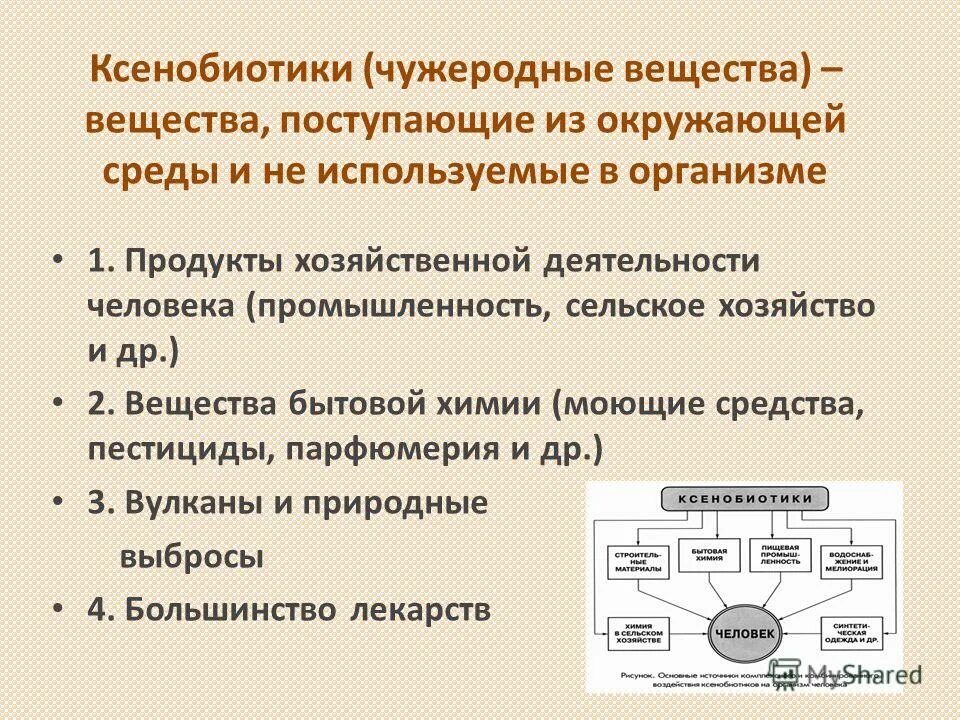 Ксенобиотики в организме