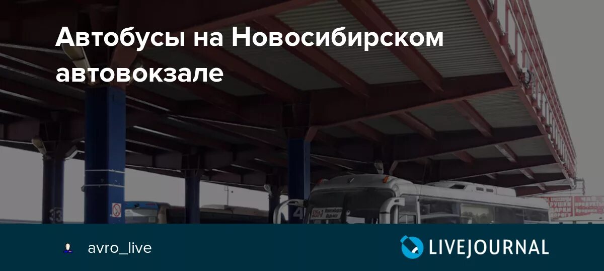 Автобус Новосибирск. Кыштовка автовокзал. Автобус Кыштовка Новосибирск. Автовокзал Новосибирск.