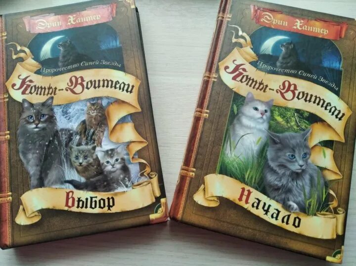 Читать коты воители пророчество синей звезды. Коты воители пророчество синей звезды. коты воители книги пророчество синей звезды. коты воители пророчество синей звезды золотая коллекция. коты воители пророчество.