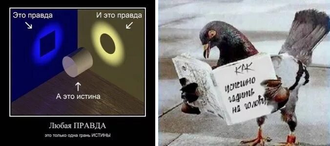 Правда откуда. У каждого своя правда. Что есть правда. Правда есть правда. Есть правда а есть истина.