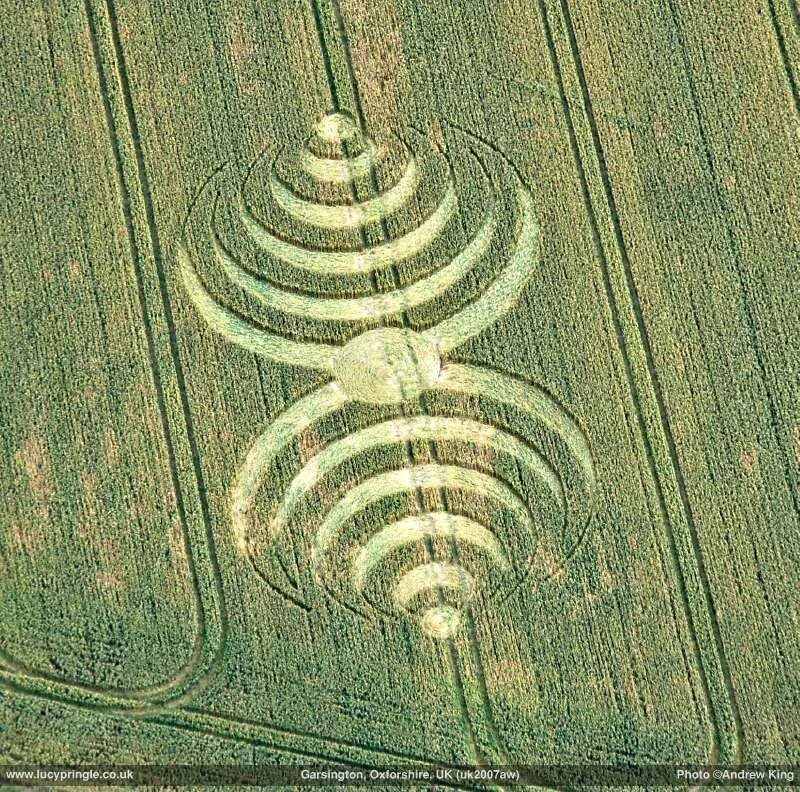 Фигуры на полях. Круги на полях в англии. Спирали круги на полях. Древняя спираль. Круги на полях великобритания.