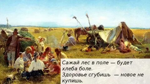 Надел в поле 4