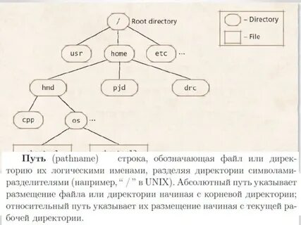 Директория функции
