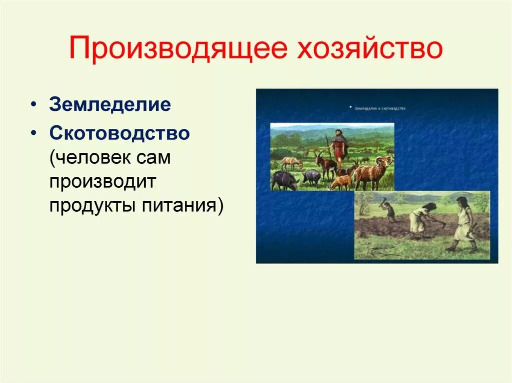 Какой тип хозяйства. Производящее хозяйство. Зарождение производящего хозяйства. Типы хозяйства производящие. Производящее хозяйство это в истории.