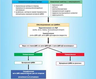 Врожденная цитомегаловирусная инфекция по утвержденным клиническим
