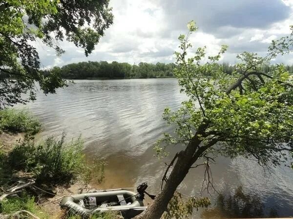 Полянка елшанка. Турбаза полянка саратовская. турбаза полянка елшанка.